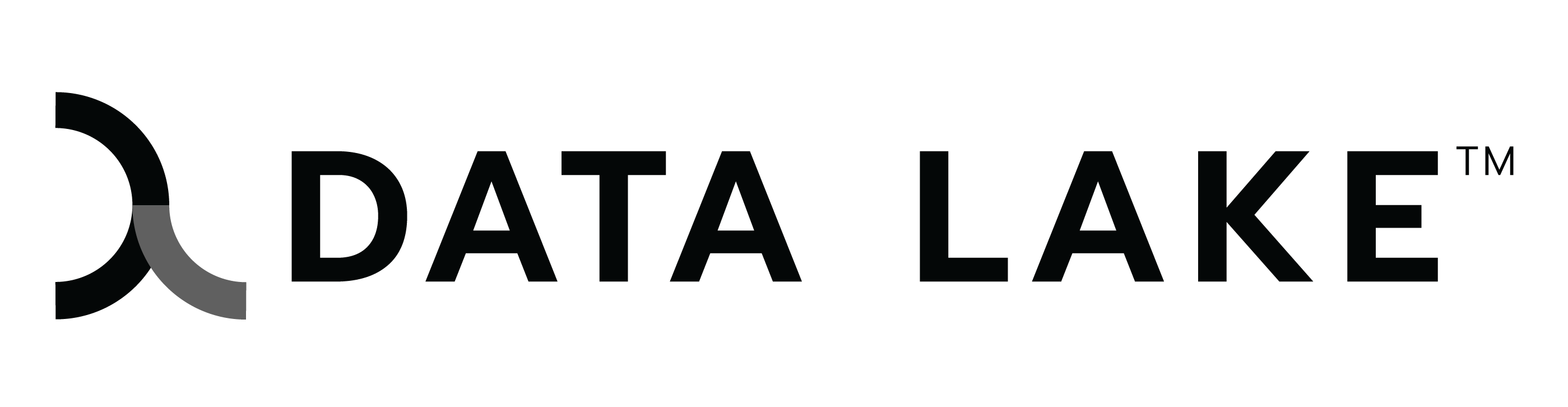 Data Lake logo